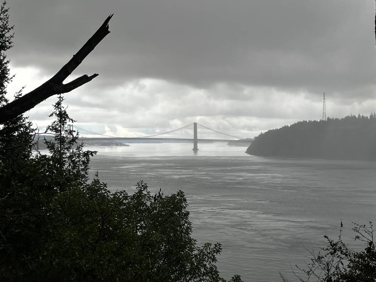 Something growing in the dark