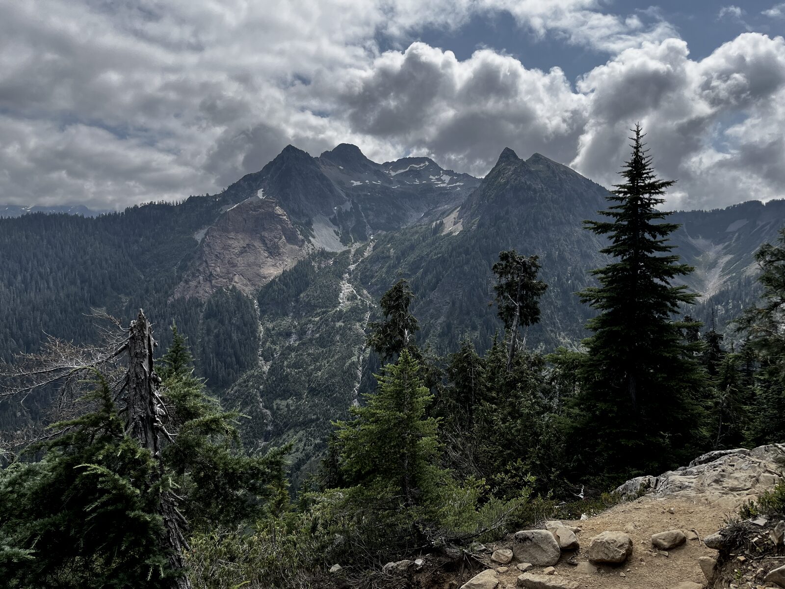 Ridge in the North Cascades, forest intact around a landslide scar