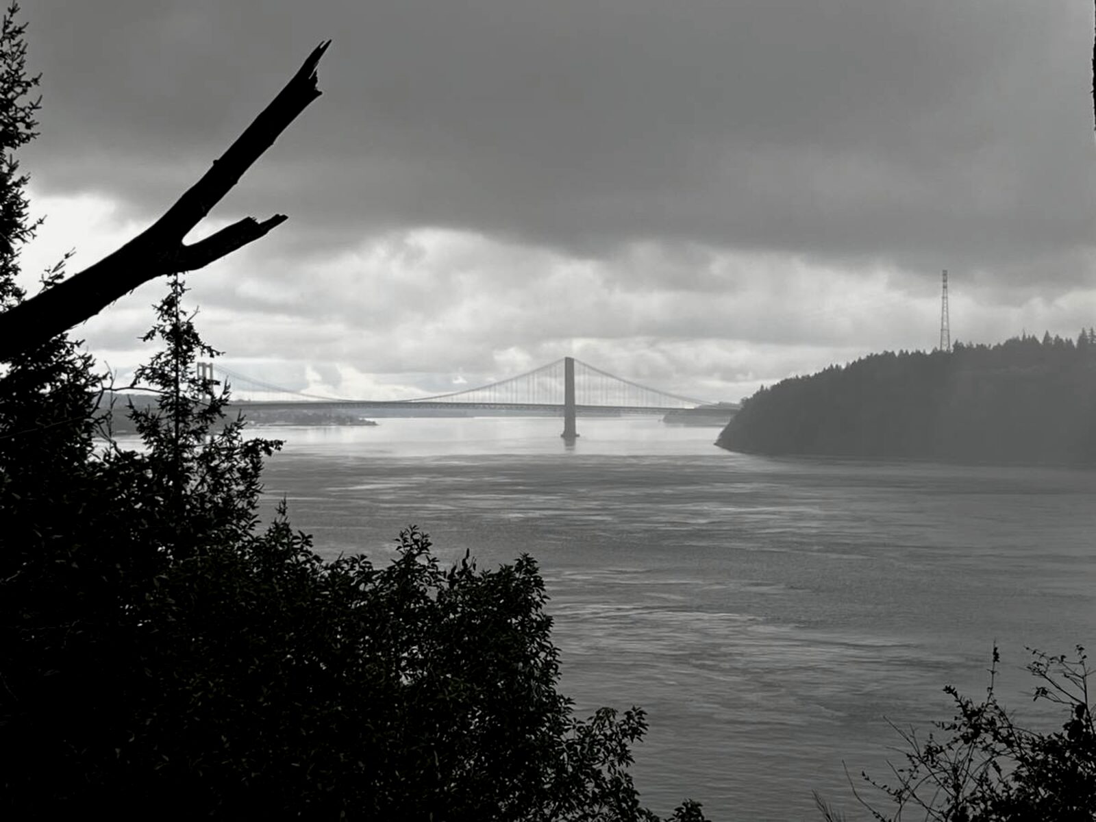 Tacoma Narrows Bridge seen from Point Defiance, fog over Puget Sound