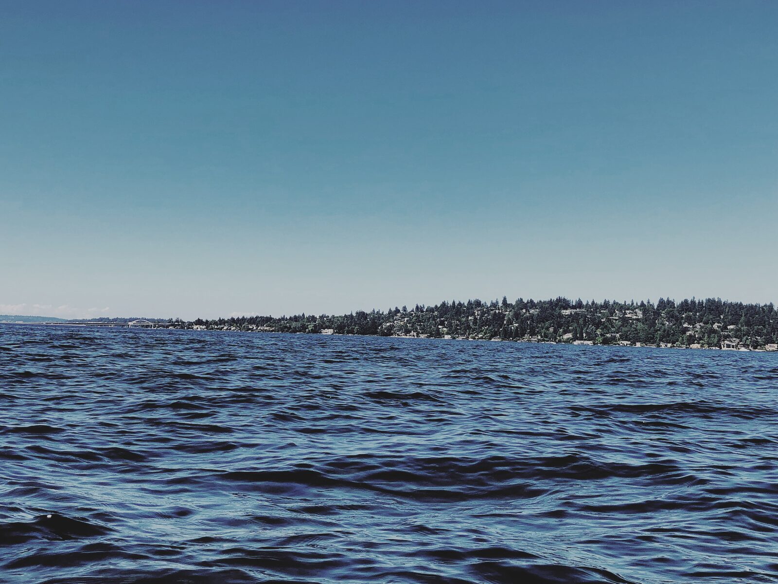 Lake Washington in July: cold water and warm light in one frame