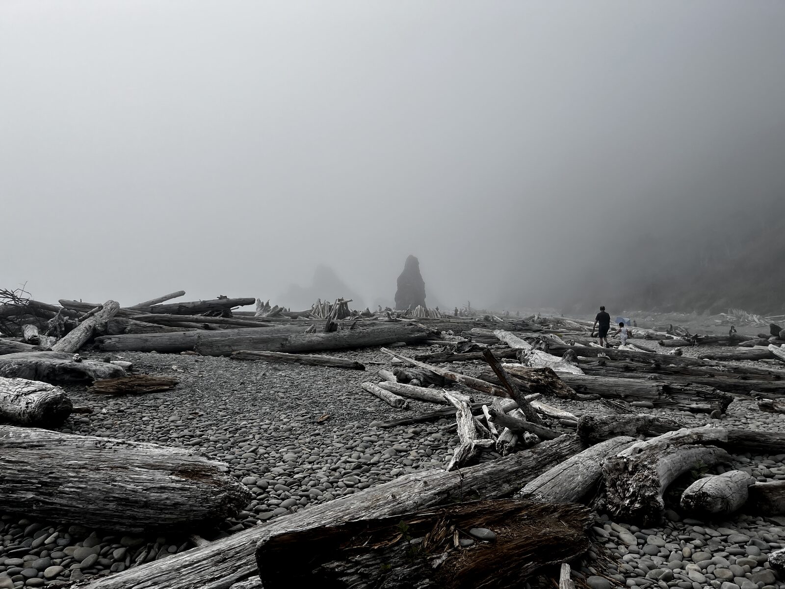 A foggy Pacific Northwest beach with weathered driftwood in the foreground, a sea stack rising from the mist, and two small figures walking at the water's edge