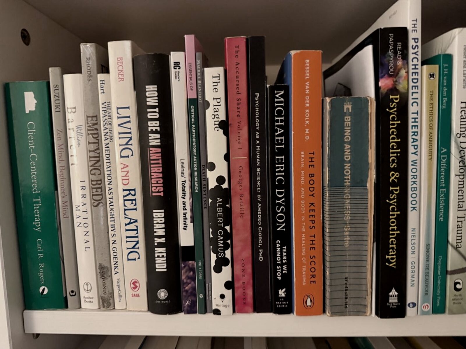 Bookshelf in The Room: van der Kolk, Rogers, Sartre, Beauvoir