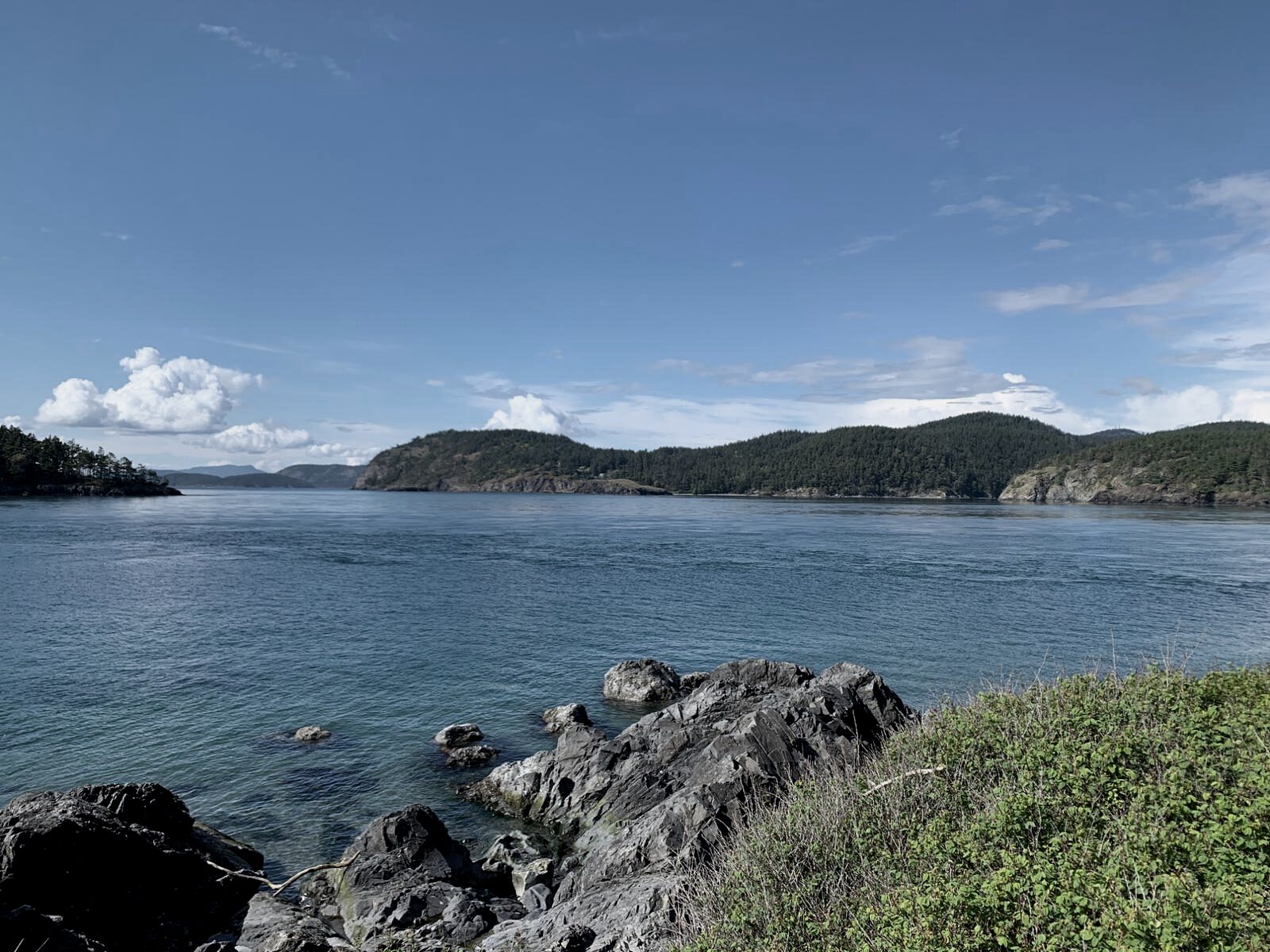 PNW-anchored — something solid remains