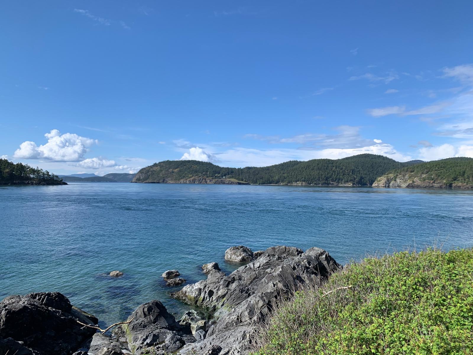 Something is growing